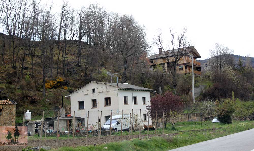 Pardinella-Barrio Nuevo